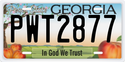 GA license plate PWT2877