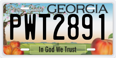 GA license plate PWT2891
