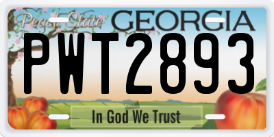 GA license plate PWT2893