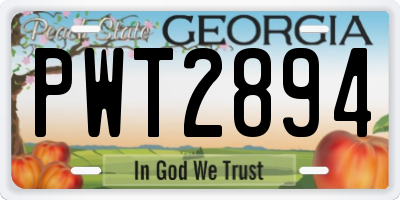 GA license plate PWT2894