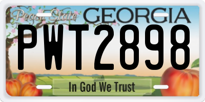 GA license plate PWT2898