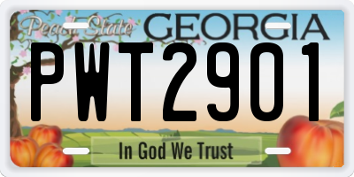 GA license plate PWT2901