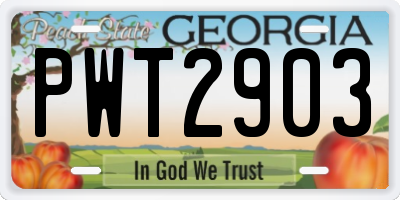 GA license plate PWT2903