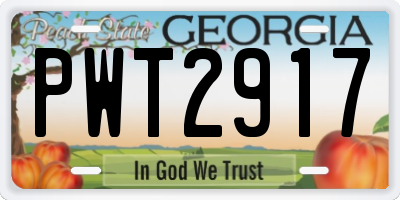 GA license plate PWT2917