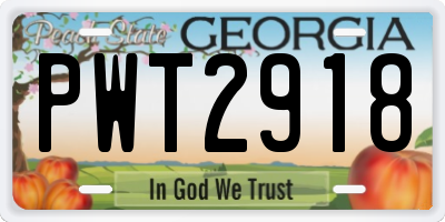 GA license plate PWT2918