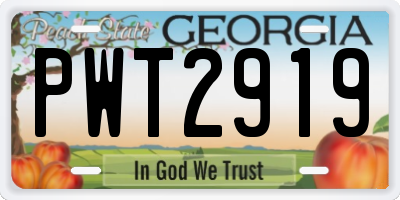 GA license plate PWT2919