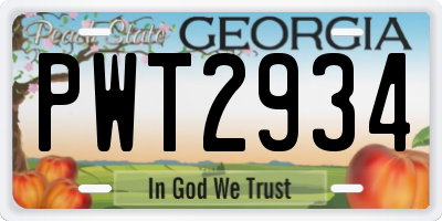 GA license plate PWT2934