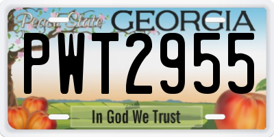 GA license plate PWT2955
