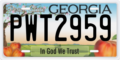 GA license plate PWT2959
