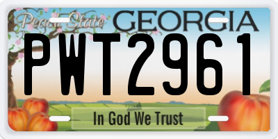 GA license plate PWT2961