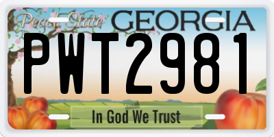 GA license plate PWT2981