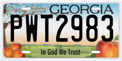 GA license plate PWT2983
