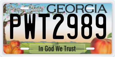 GA license plate PWT2989