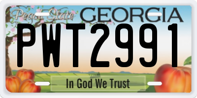 GA license plate PWT2991