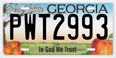 GA license plate PWT2993