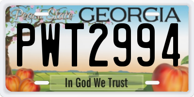 GA license plate PWT2994
