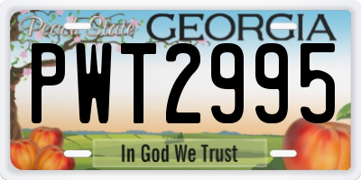 GA license plate PWT2995