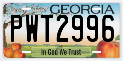 GA license plate PWT2996