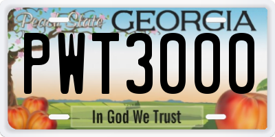 GA license plate PWT3000