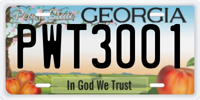 GA license plate PWT3001