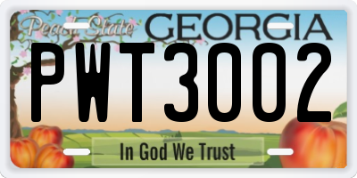 GA license plate PWT3002