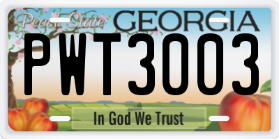 GA license plate PWT3003