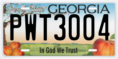 GA license plate PWT3004
