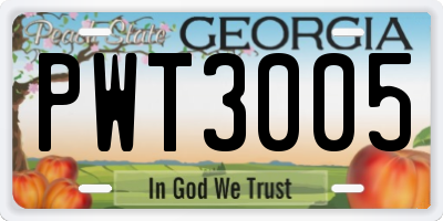 GA license plate PWT3005