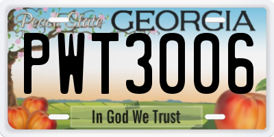 GA license plate PWT3006
