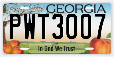 GA license plate PWT3007