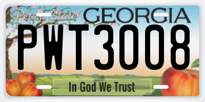 GA license plate PWT3008