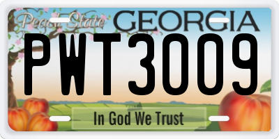 GA license plate PWT3009