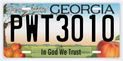 GA license plate PWT3010