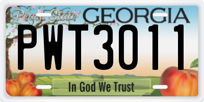 GA license plate PWT3011
