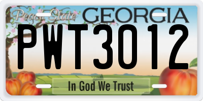 GA license plate PWT3012