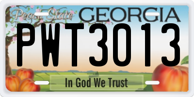 GA license plate PWT3013