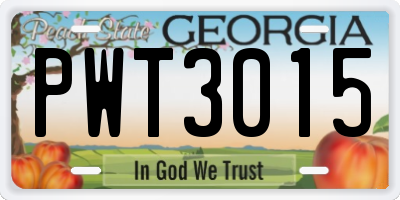 GA license plate PWT3015