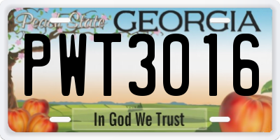 GA license plate PWT3016