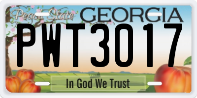 GA license plate PWT3017