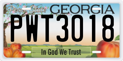 GA license plate PWT3018