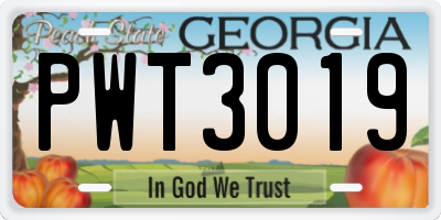 GA license plate PWT3019
