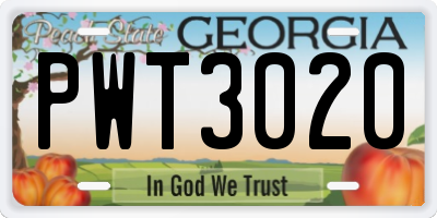 GA license plate PWT3020