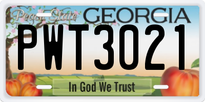 GA license plate PWT3021
