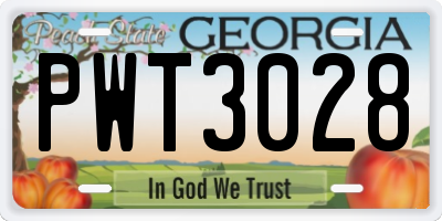 GA license plate PWT3028