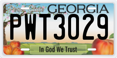 GA license plate PWT3029