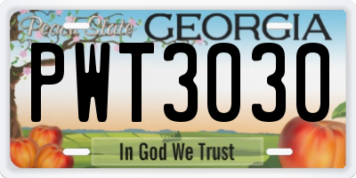 GA license plate PWT3030