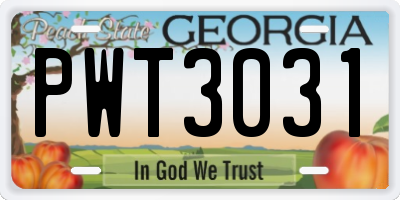 GA license plate PWT3031