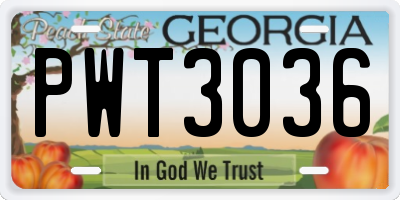 GA license plate PWT3036