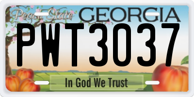 GA license plate PWT3037