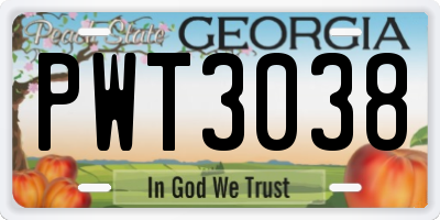 GA license plate PWT3038